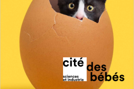 La cité des bébés