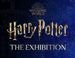 WIZARDING WORLD and all related trademarks, characters, names, and indicia are © & ? Warner Bros. Entertainment Inc. Publishing Rights © JKR (s23)