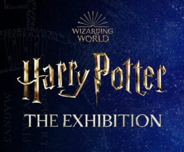 WIZARDING WORLD and all related trademarks, characters, names, and indicia are © & ? Warner Bros. Entertainment Inc. Publishing Rights © JKR (s23)