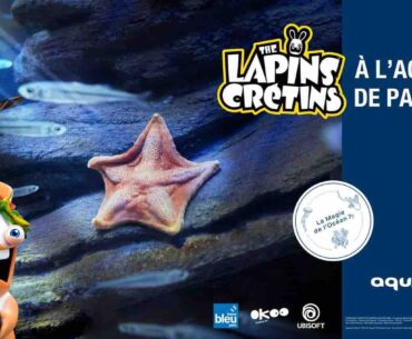 exhibition of the rabbits at the aquarium of Paris