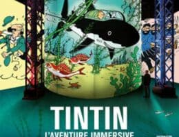 tintin, the immersive adventure at the Atelier des Lumières in Paris