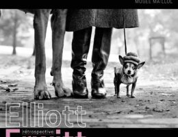 exposition Elliott Erwitt au musée maillot