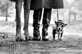 Elliott Erwitt exhibition at the Musée maillot