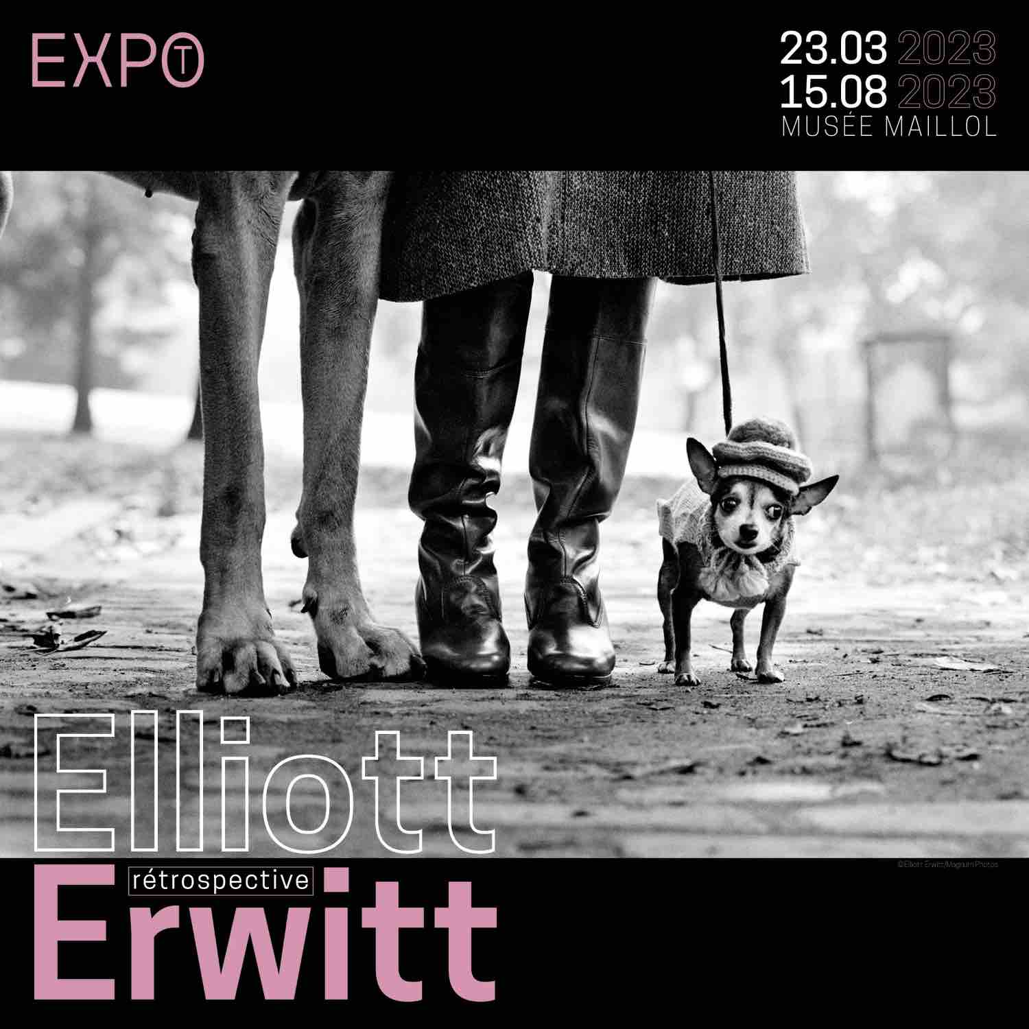 EXHIBITION | "Elliott Erwitt, a retrospective" at the Maillol Museum