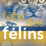 the feline festival at the jardin des plantes