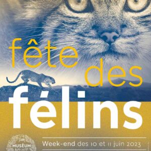 la fete des félins au jardin des plantes