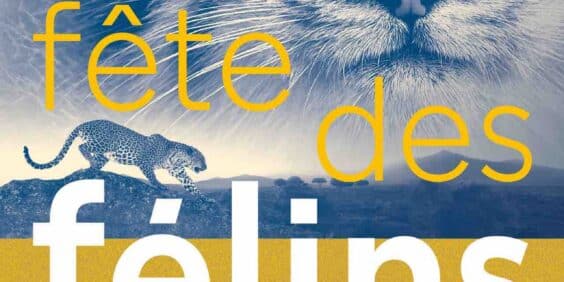 The Cat Party at the Jardin des Plantes