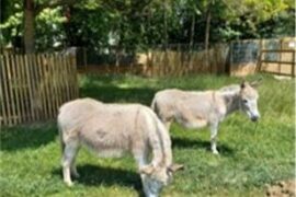 la ferme pédagogie de la villette