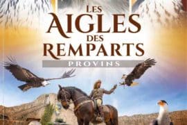 spectacle de fauconnerie les aigles des remparts à Provins