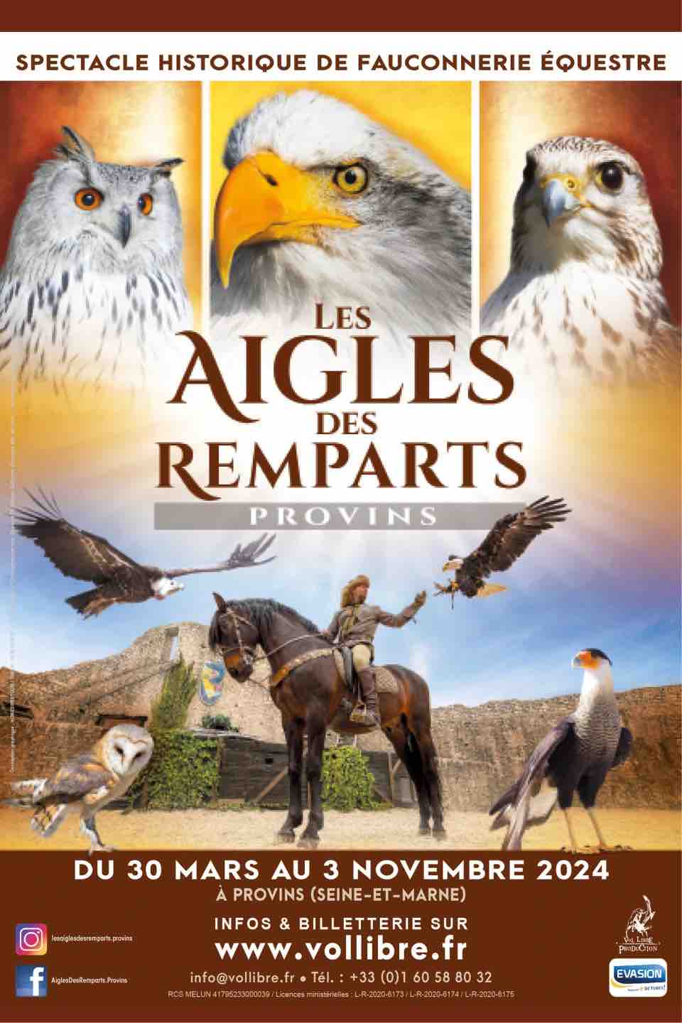 spectacle de fauconnerie les aigles des remparts à Provins