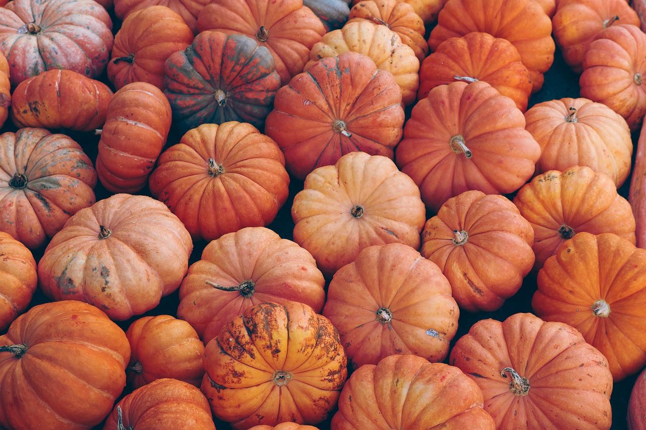 10 pics à cocktail automne citrouille et feuille : Deguise-toi, achat de Decoration / Animation