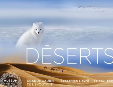 Exposition "Déserts" à La Grande Galerie de l'Evolution - jusqu'au 30 nov 2025