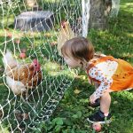 ferme enfant pixabay