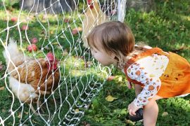 ferme enfant pixabay