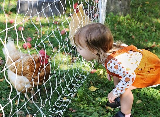 ferme enfant pixabay