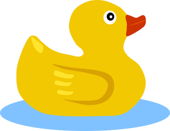 canard pixabay