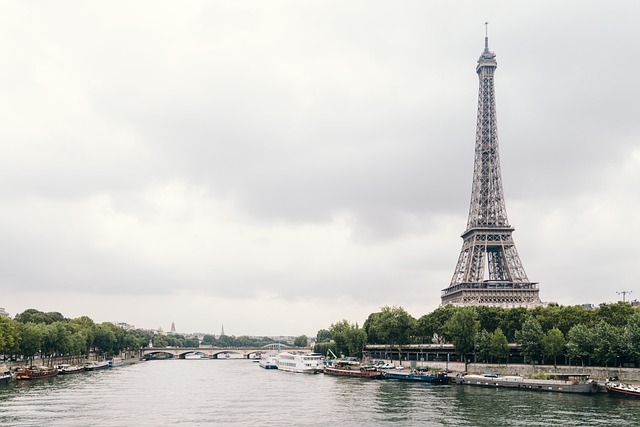 Seine et tour eiffel