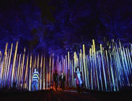 Light Cycles - Experience immersive au Parc de la Villette