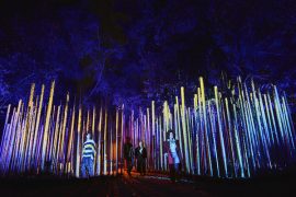 Light Cycles - Experience immersive au Parc de la Villette