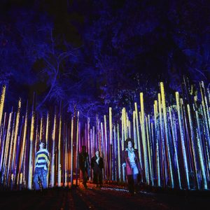 Light Cycles - Experience immersive au Parc de la Villette