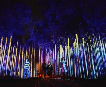 Light Cycles - Experience immersive au Parc de la Villette