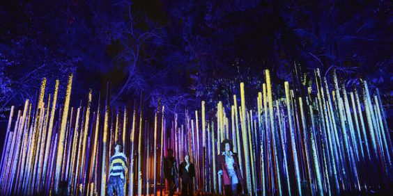 Light Cycles - Experience immersive au Parc de la Villette