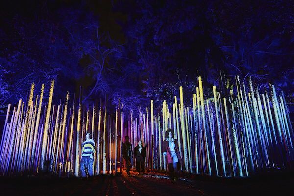 Light Cycles - Experience immersive au Parc de la Villette