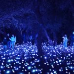 Light Cycles - Experience immersive au Parc de la Villette