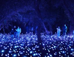 Light Cycles - Experience immersive au Parc de la Villette