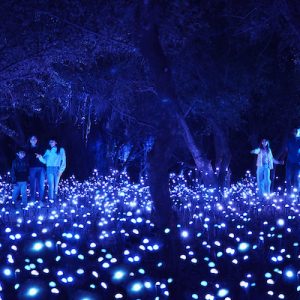 Light Cycles - Experience immersive au Parc de la Villette