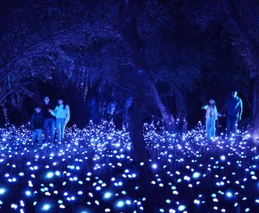 Light Cycles - Experience immersive au Parc de la Villette