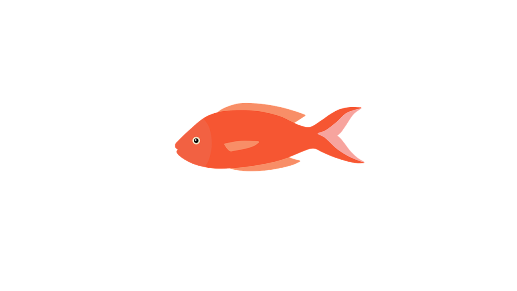 poisson