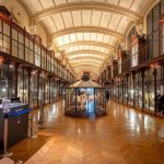 Voyage extraordinaire à la Grande Galerie de l'Evolution : visite guidée contée