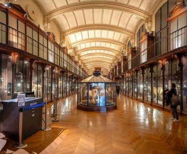 Voyage extraordinaire à la Grande Galerie de l'Evolution : visite guidée contée