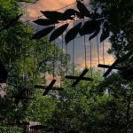 Accrocamp - parc de loisirs accrobranche en Forêt de Meudon à Chaville