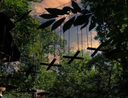 Accrocamp - parc de loisirs accrobranche en Forêt de Meudon à Chaville