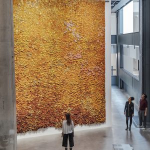 Fondation Cartier pour l'art contemporain - Exposition générale 2026