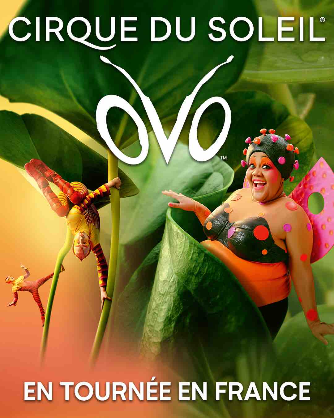 Ovo, cirque du Soleil