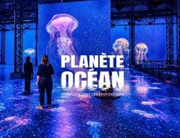 planète océan à l'atelier des lumières