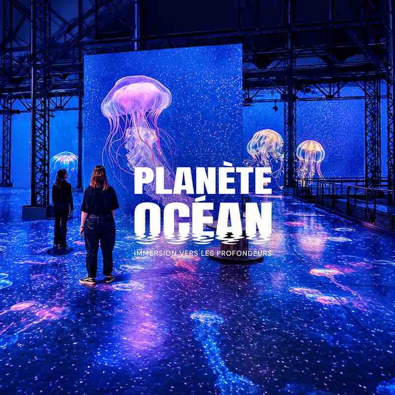 planète océan à l'atelier des lumières