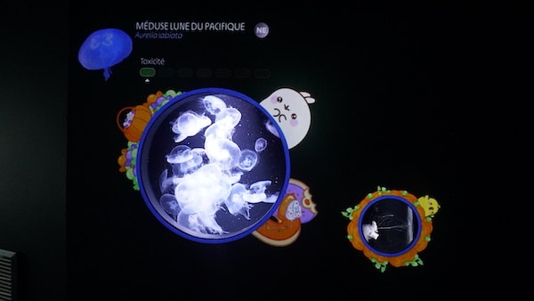 Molang en mode chill à l’Aquarium de Paris - jusqu’au 3 janv. 2027