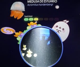 Molang en mode chill à l’Aquarium de Paris - jusqu’au 3 janv. 2027