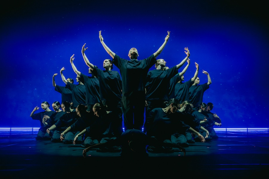 Week-end festif "Artistes au Museum" - 17 et 18 octobre 2026 - sectacle Murmuration