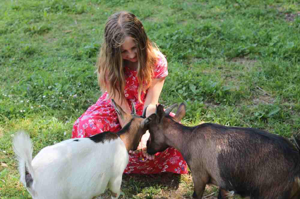 enfants et animaux à la ferme pédagogique de Malowe Nature