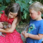 Malowe Nature : the educational farm