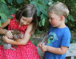 Malowe Nature : the educational farm