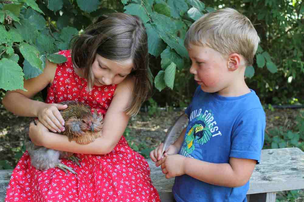 Malowe Nature : la ferme pédagogique