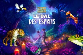 Les lumières sauvages, les illuminations de noel à Thoiry