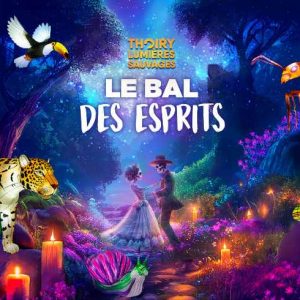 Les lumières sauvages, les illuminations de noel à Thoiry