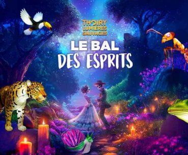 Les lumières sauvages, les illuminations de noel à Thoiry